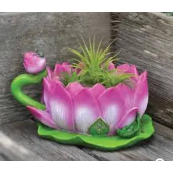 7a-lotus plant-6536878-56018.webp